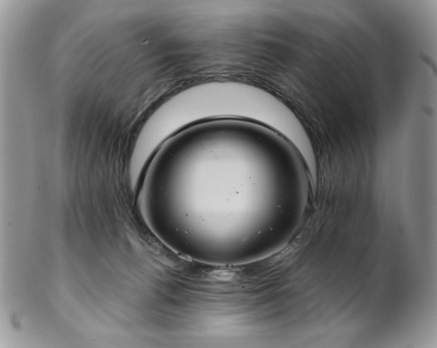 X0000102800176200808181208