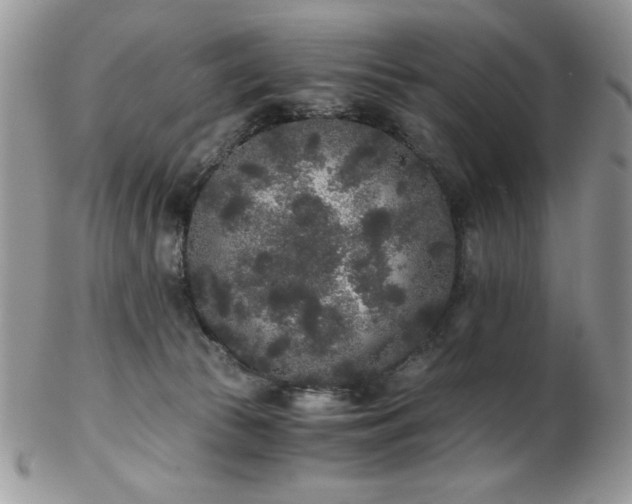 X0000102800177200808181208