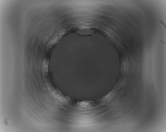 X0000102800180200808181208