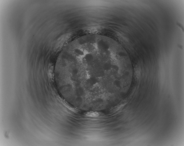 X0000102800181200808181209