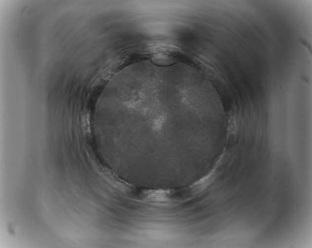 X0000102800182200808181209