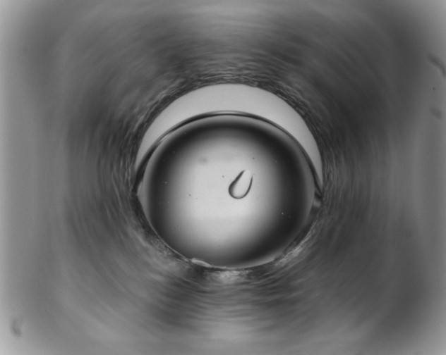 X0000102800184200808181209