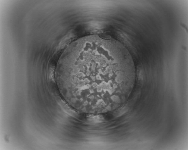 X0000102800185200808181209