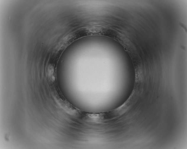 X0000102800187200808181209