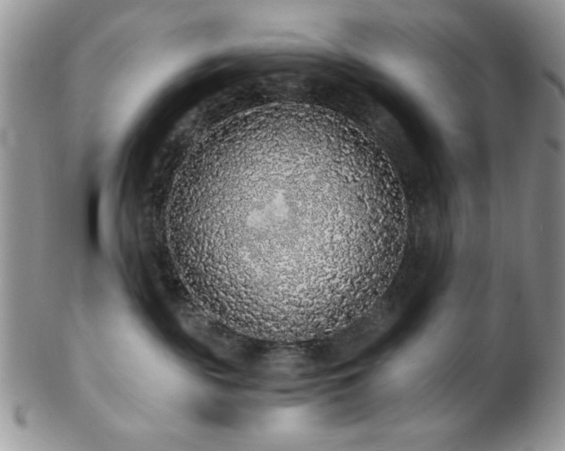 X0000102800189200808181209