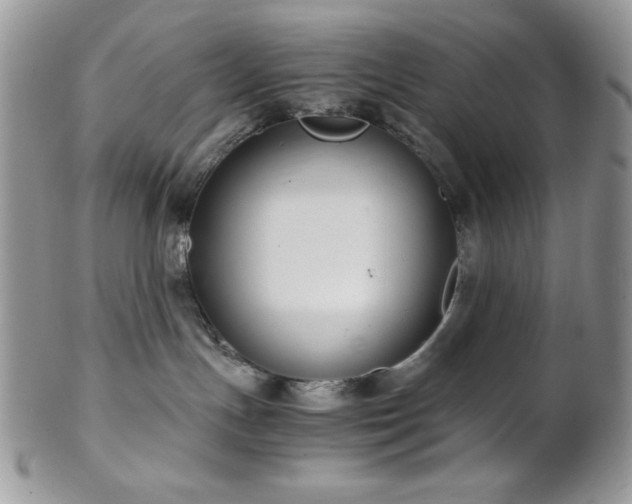 X0000102800191200808181209
