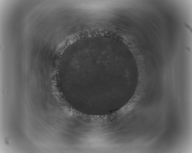 X0000102800192200808181209