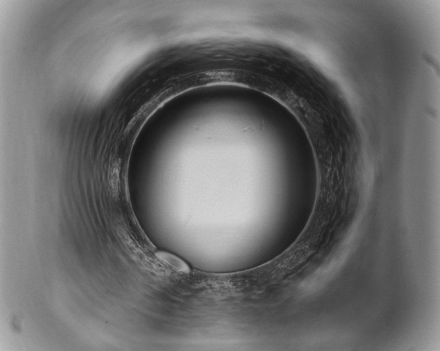 X0000102800194200808181208