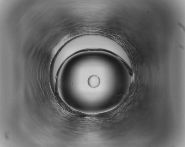 X0000102800195200808181208