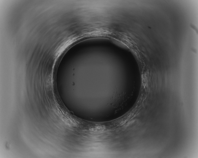 X0000102800196200808181208
