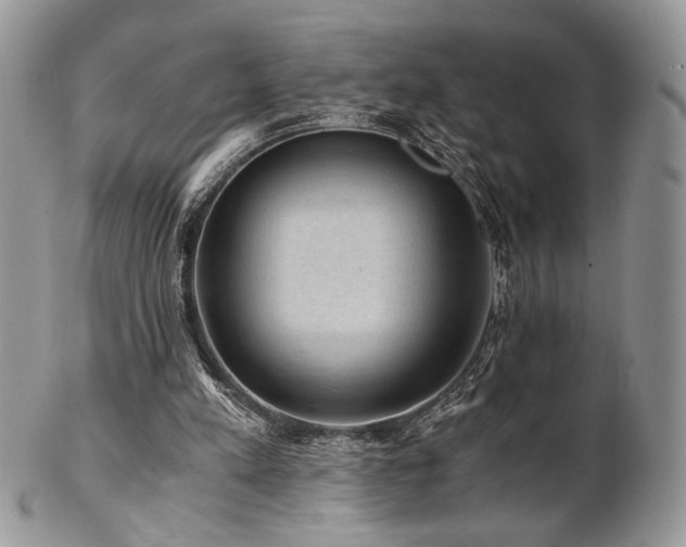 X0000102800197200808181208