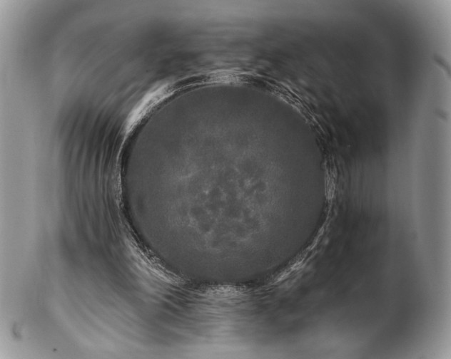 X0000102800198200808181208