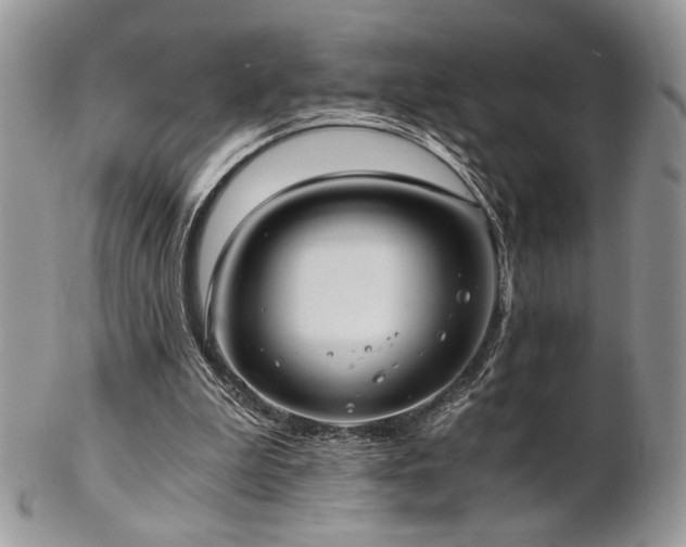 X0000102800199200808181208