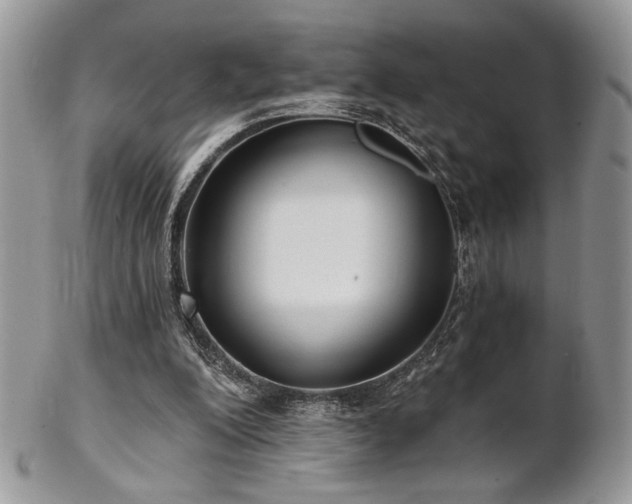 X0000102800200200808181208