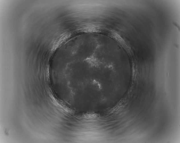 X0000102800202200808181208
