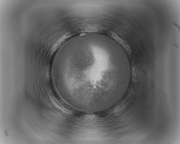 X0000102800203200808181208