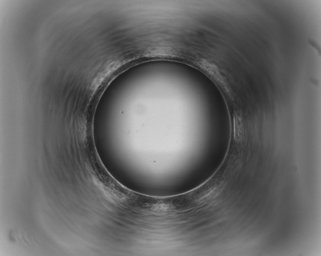 X0000102800204200808181208