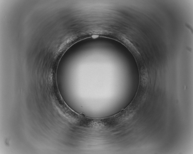 X0000102800207200808181208