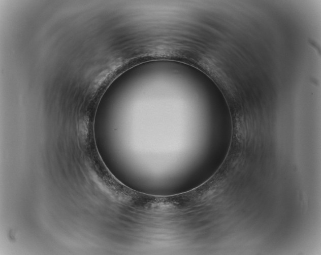 X0000102800208200808181208
