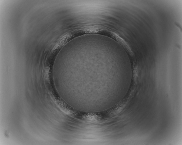 X0000102800209200808181208
