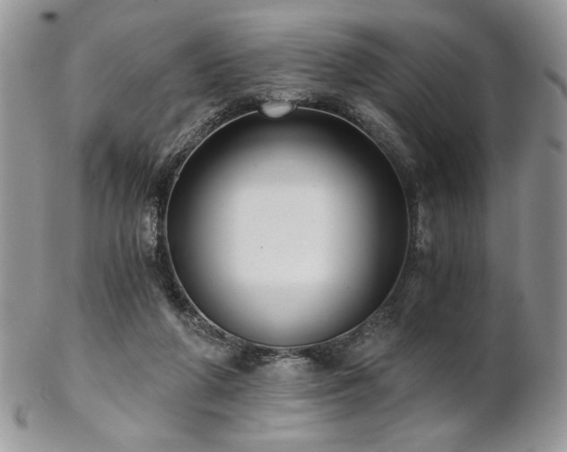 X0000102800210200808181208