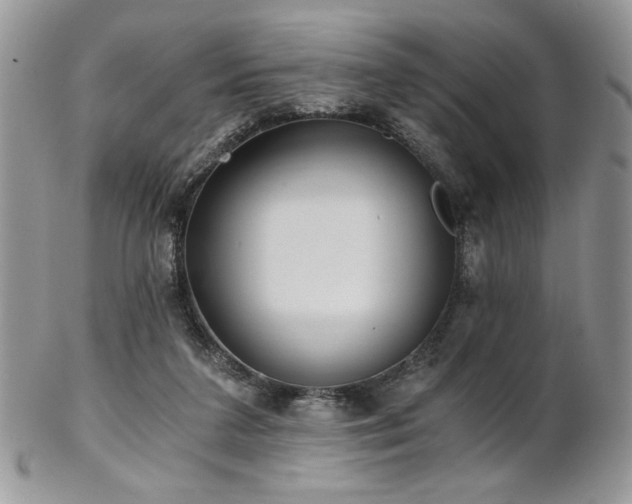 X0000102800211200808181208