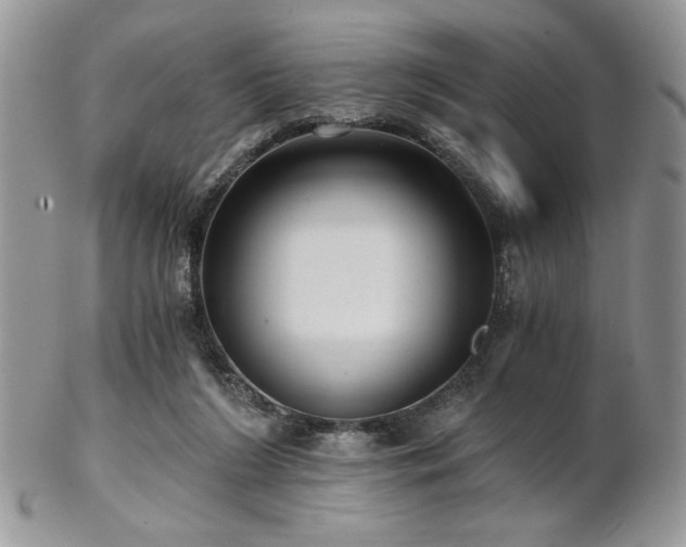 X0000102800212200808181208
