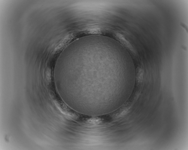 X0000102800213200808181208