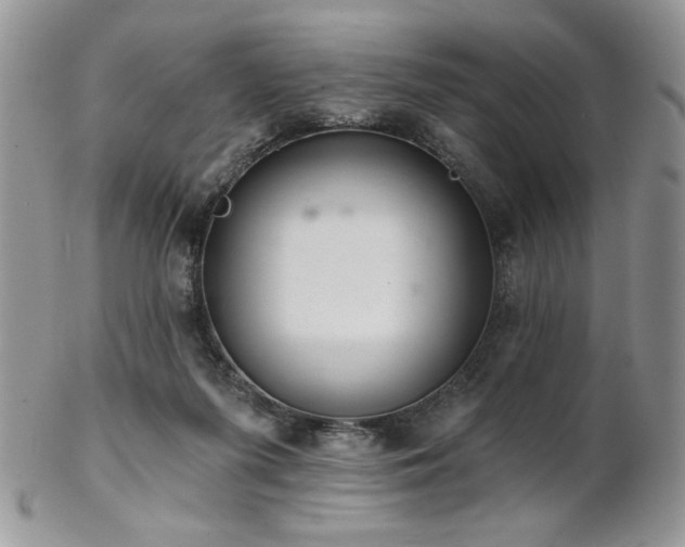 X0000102800215200808181208