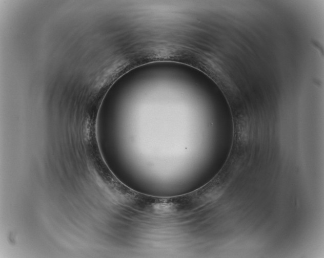 X0000102800216200808181208