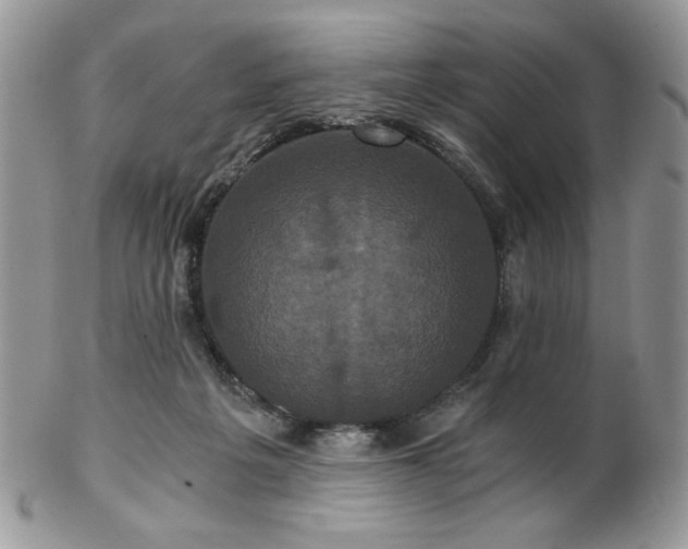 X0000102800217200808181208