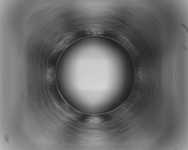 X0000102800218200808181208