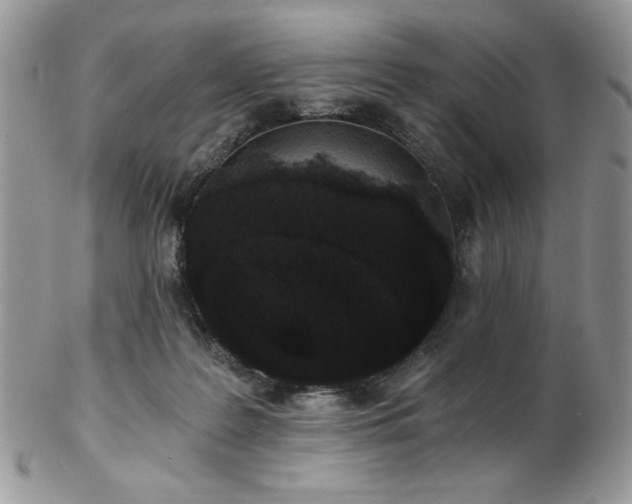 X0000102800219200808181208