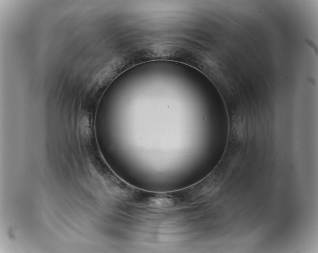 X0000102800220200808181208