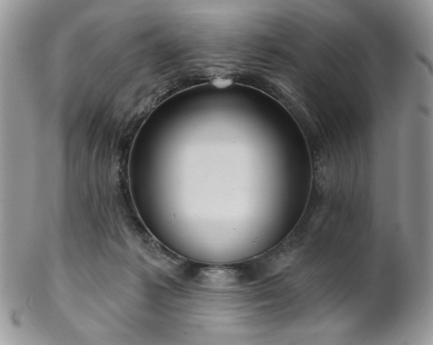 X0000102800221200808181208