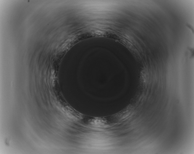 X0000102800223200808181208