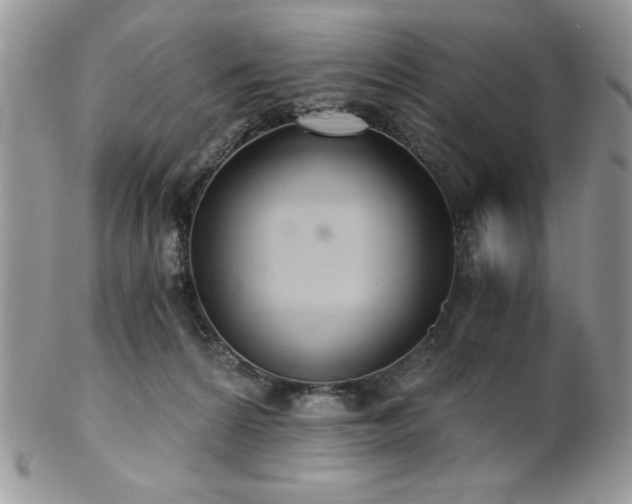 X0000102800224200808181208