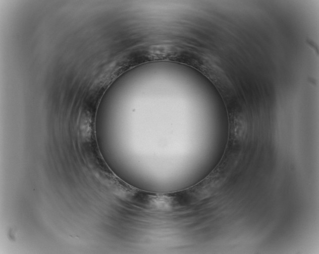 X0000102800226200808181208