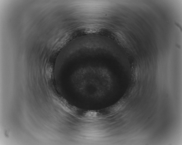 X0000102800227200808181208