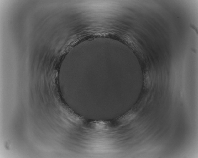 X0000102800229200808181207