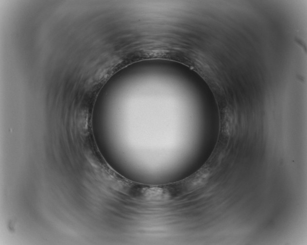 X0000102800230200808181207