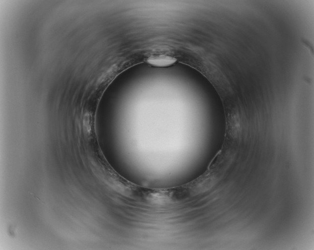 X0000102800232200808181207