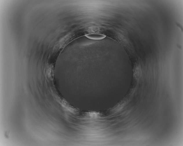 X0000102800233200808181207