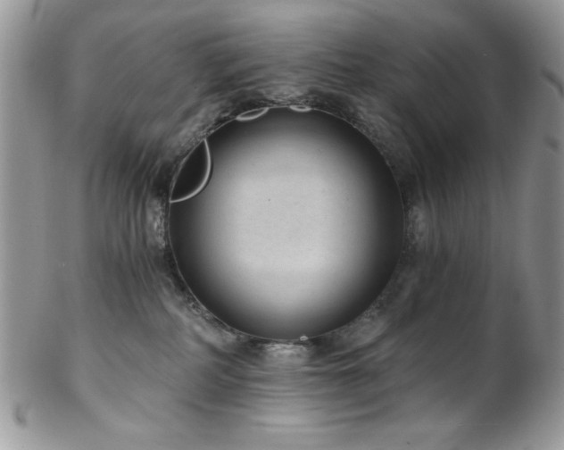 X0000102800234200808181207