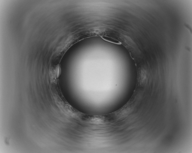 X0000102800236200808181207