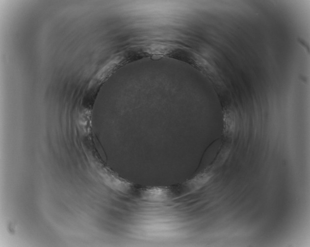 X0000102800237200808181207