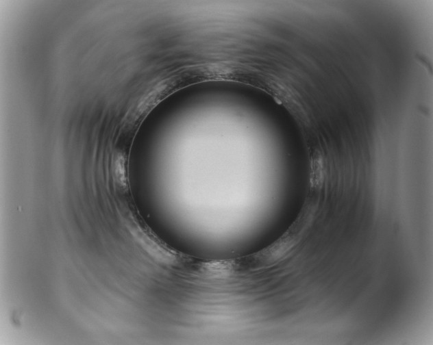 X0000102800238200808181207