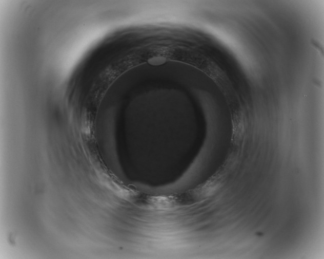 X0000102800239200808181207