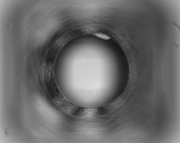 X0000102800240200808181207
