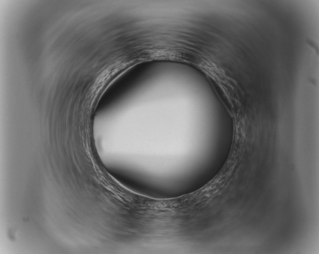 X0000102800241200808181207